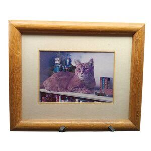 Vintage Tabby Cat & Robot Chrome Photo in Wooden Frame